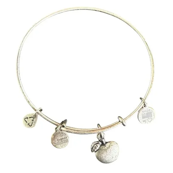 Alex and Ani Apple Charm Bracelet Silver Nature Expandable Bangle - Picture 14 of 14